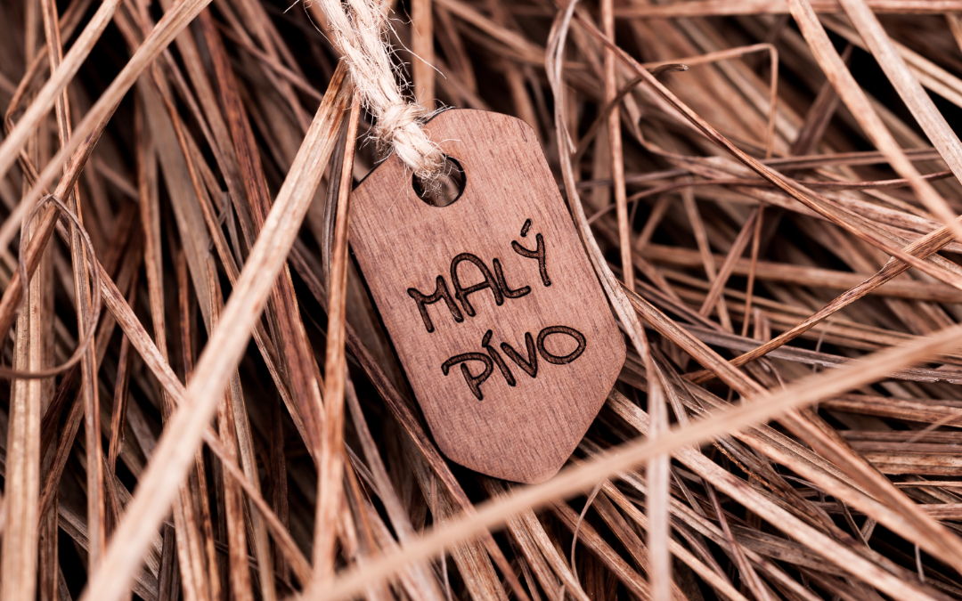 moje_drevicko_maly_pivo_banner_1080x675px_001